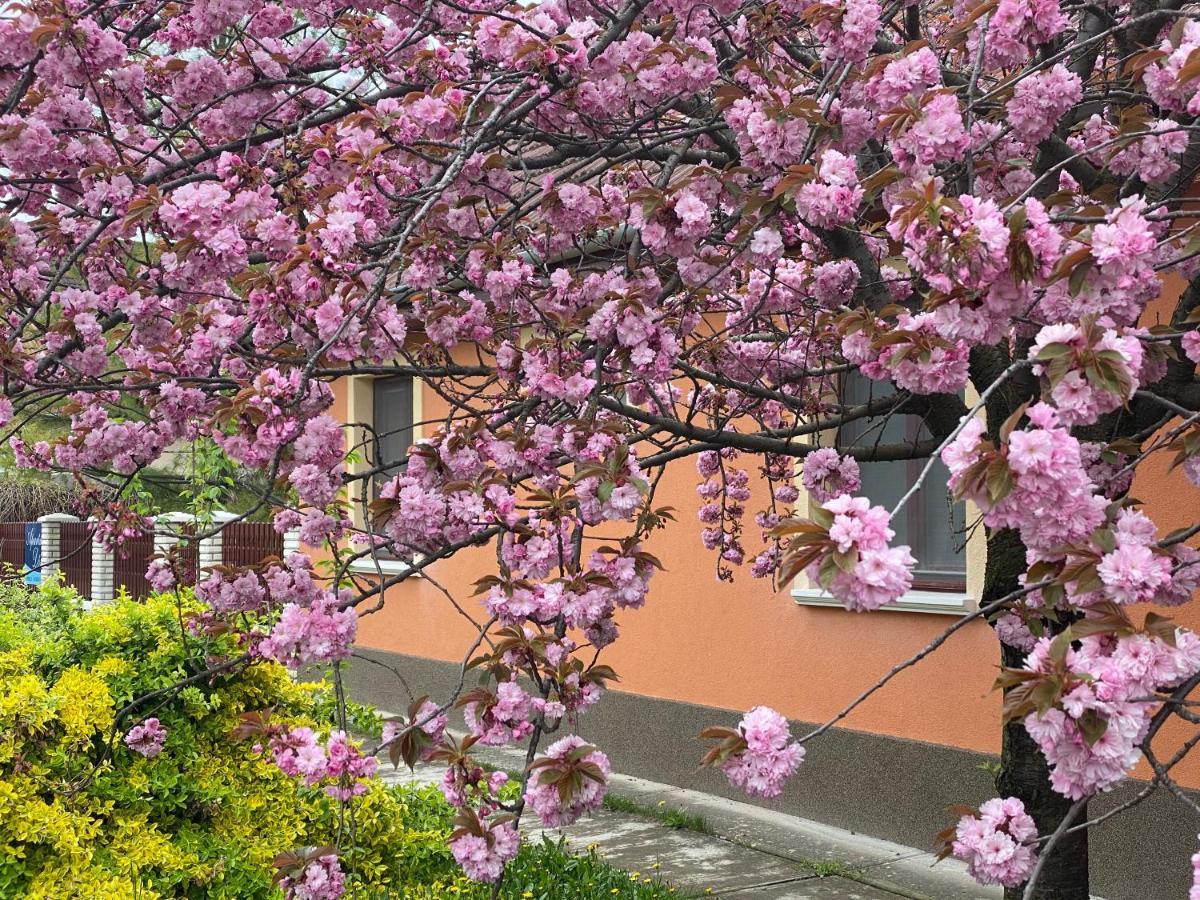 Apartman Dora Hajdúszoboszló 외부 사진